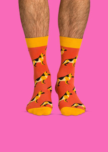 Цветные носки JNRB: Носки Куси-куси, чужой-чужой