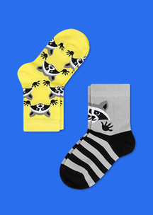 Цветные носки JNRB: Носки детские (2 пары) Енотики