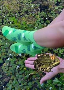 Цветные носки JNRB: Носки Царевна лягушка