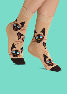 Цветные носки JNRB: Носки Сиамские котята
