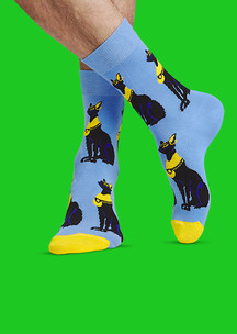 Цветные носки JNRB: Носки Сфинкс-кс-кс