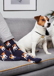 Носки с собаками Funny Socks