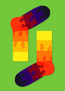 Вокруг света JNRB: Носки Аризона