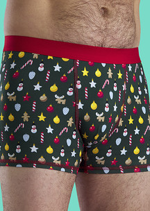 Look для всей семьи Шишки и иголки JNRB: Трусы боксеры Шишки да иголки