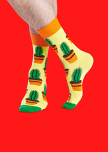 Цветные носки JNRB: Носки Кактус-маркет