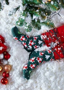 Цветные носки JNRB: Носки Отряд Дедов Морозов