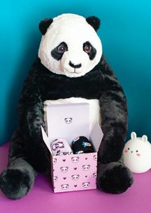 Funny Socks: Коробка для 4-х пар Панда