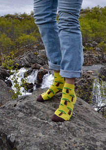 Цветные носки JNRB: Носки Баобабские