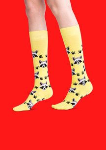 Цветные носки JNRB: Гольфы Желтый енот