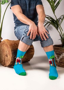 Цветные носки JNRB: Носки Богатырь