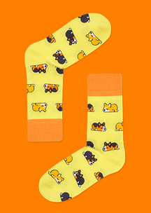 Бежевые JNRB: Носки Lazy Corgi