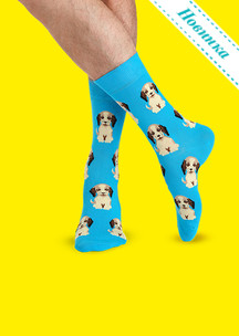 Цветные носки JNRB: Носки Охотничий пёс