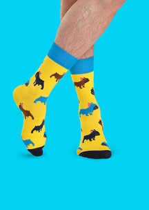 Цветные носки JNRB: Носки Бульдог