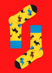 Цветные носки JNRB: Носки Бульдог