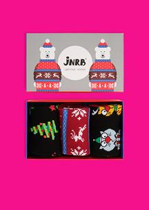Цветные носки JNRB: Набор Мишки в свитере