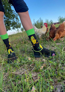 Цветные носки JNRB: Носки Боевой цыпленок