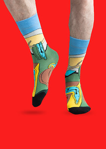 Цветные носки JNRB: Носки Скоротечность