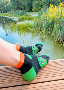 Цветные носки JNRB: Носки Pepe the Frog