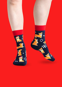 Цветные носки JNRB: Носки Довольный корги
