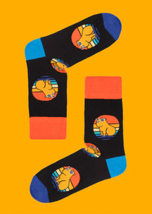 Цветные носки JNRB: Носки Солнечные капибары