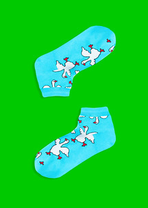 Лето JNRB: Носки Гусьи