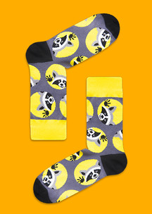 Цветные носки для всей семьи Енот JNRB: Носки Енот Педро