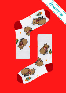 Цветные носки JNRB: Набор Новогодняя капибара