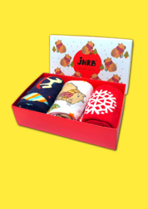 Цветные носки JNRB: Набор Новогодняя капибара