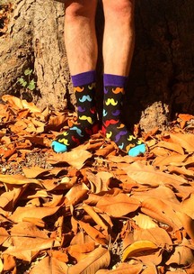 Цветные носки купить в Funny Socks