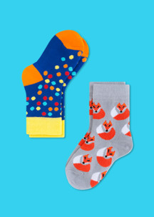 Цветные носки JNRB: Носки детские (2 пары) Лисичка-сестричка